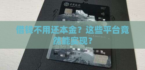 哪些平台贷款不用还本金
