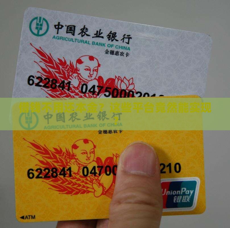 哪些平台贷款不用还本金