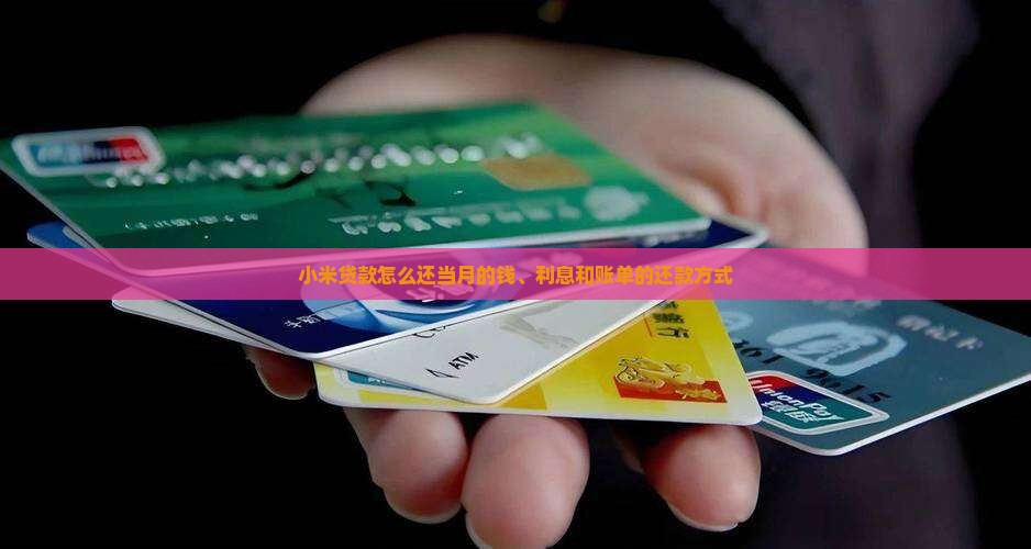 小米贷款怎么还当月的