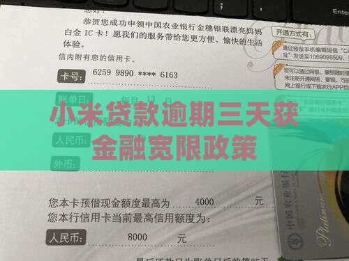 小米贷款超期三天