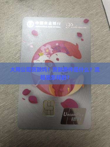 大用公司贷款吗