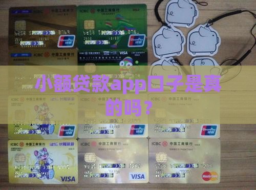小额贷款app口子是真的吗