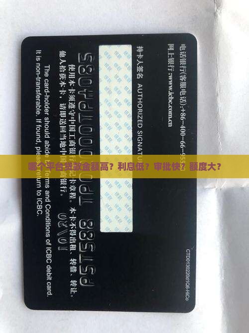 哪个平台贷款金额高