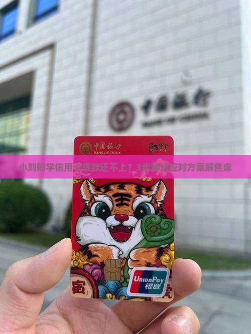 小刘同学信用卡贷款