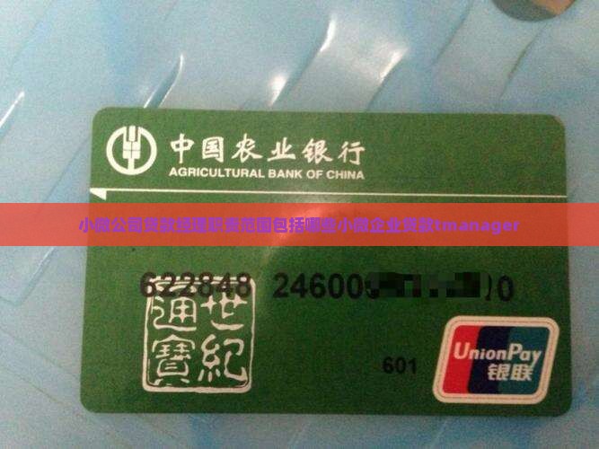 小微公司贷款经理职责范围