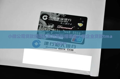 小微公司贷款经理职责范围