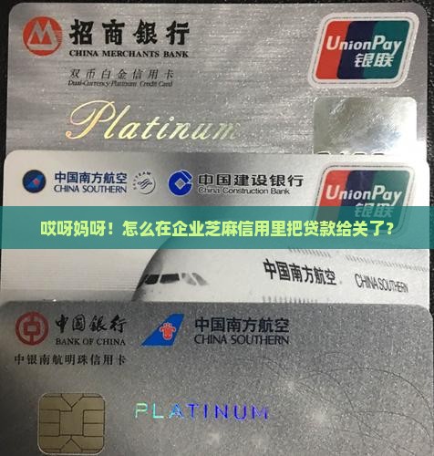 如何关闭企业芝麻信用里的贷款