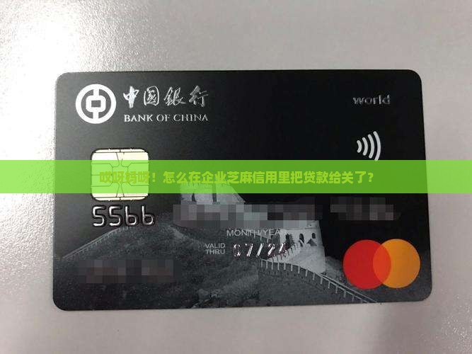 如何关闭企业芝麻信用里的贷款