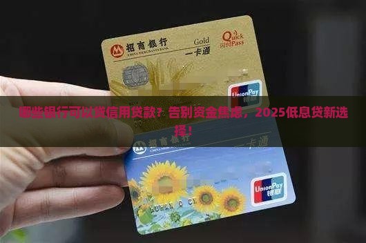 哪些银行可以贷信用贷款