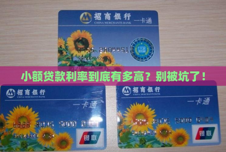 小额贷款的利率多大
