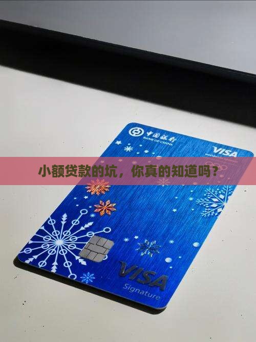 小额贷款的缺点 小额贷款的缺点