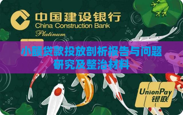 小额贷款投放剖析