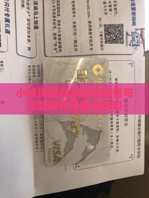 小额贷款投放剖析