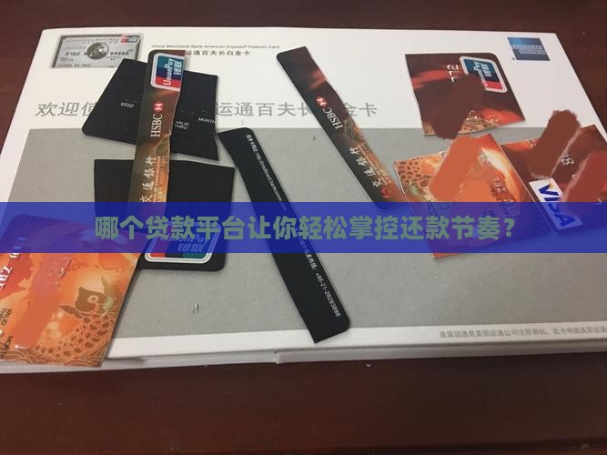 可以手动还款的贷款平台