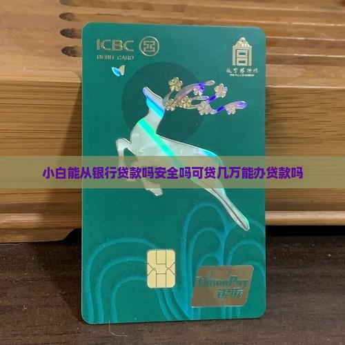 小白能从银行贷款吗