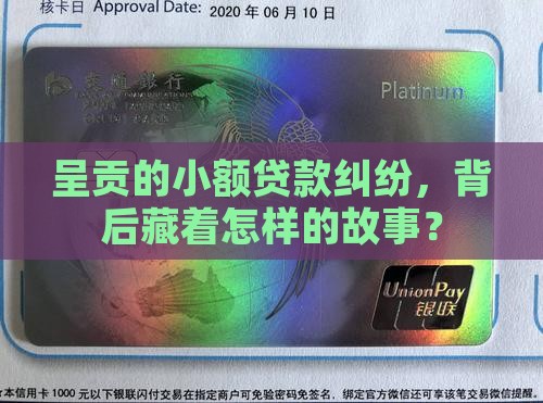 呈贡小额贷款案件