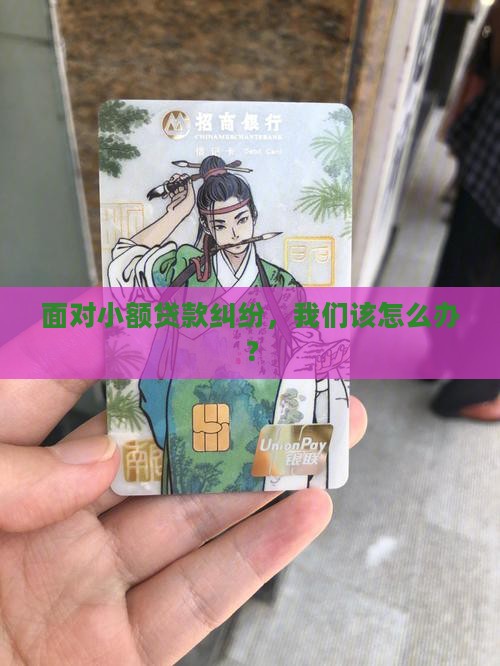 处理小额贷款案件