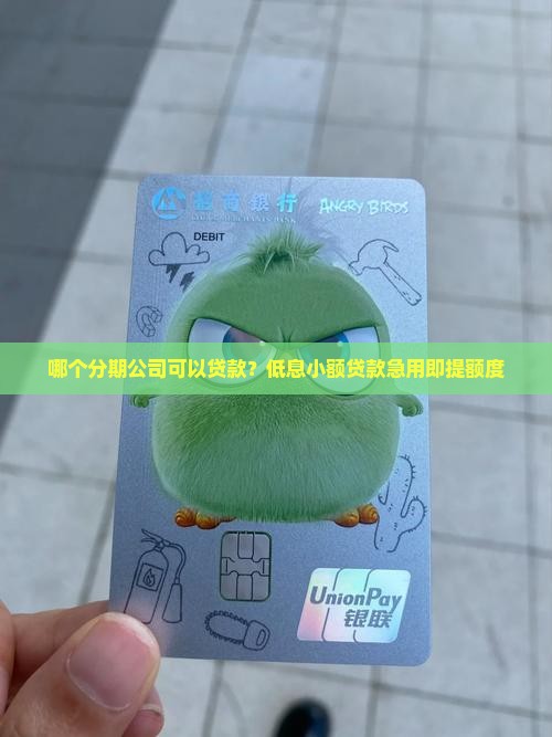 哪个分期公司可以贷款