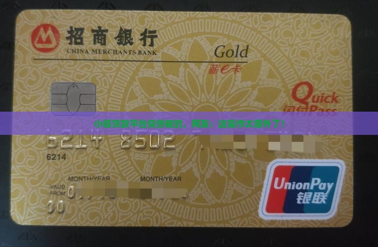 小额贷款平台被封