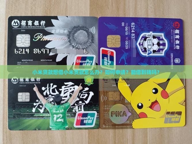 小米贷款想借小米贷款 小米贷款想借小米贷款