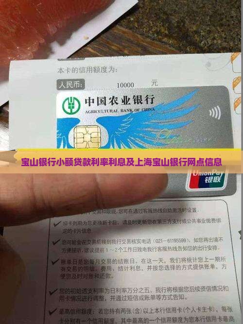宝山银行小额贷款