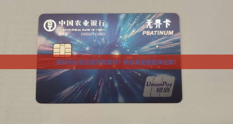 农村公司可以贷款吗