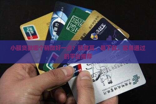 小额贷款哪个稍微好一点 小额贷款哪个稍微好一点