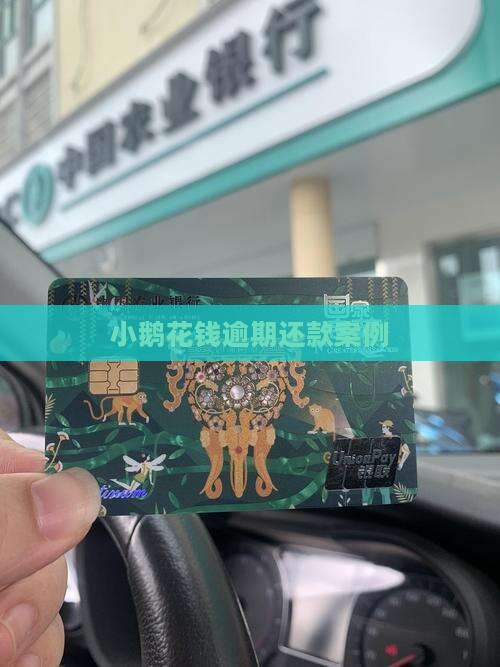 小鹅花钱欠贷款案例