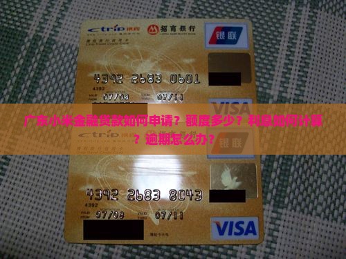 广东小米金融贷款
