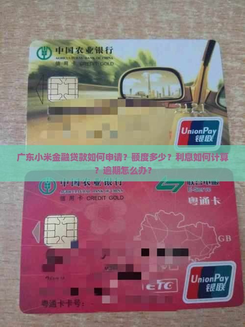 广东小米金融贷款