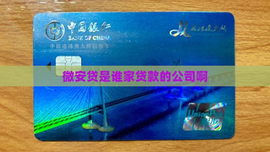 微安贷是谁家贷款的公司