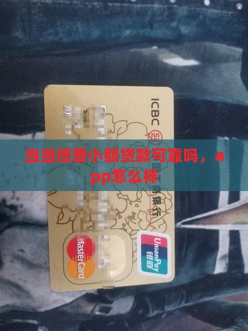 当当信誉小额贷款 当当信誉小额贷款
