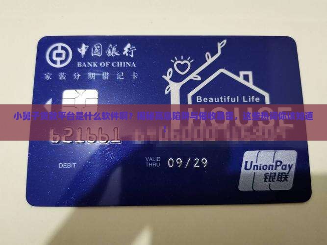 小舅子贷款平台是什么软件啊