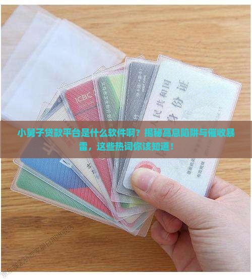 小舅子贷款平台是什么软件啊
