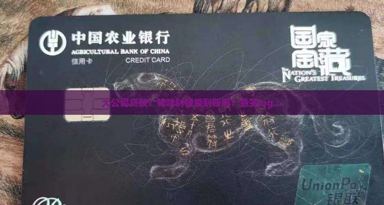 大公司贷款多久到账