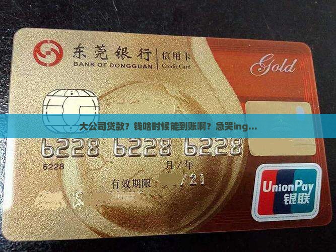 大公司贷款多久到账