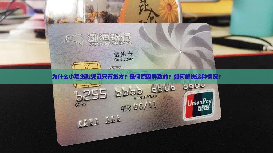 小额贷款凭证只有贷方