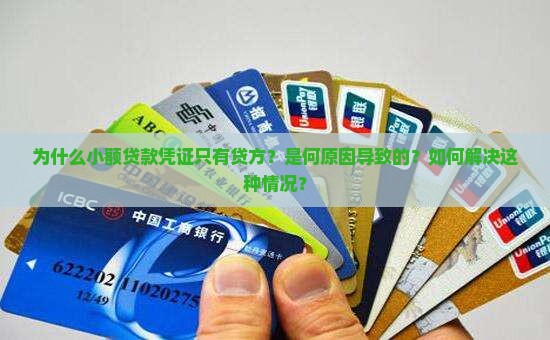 小额贷款凭证只有贷方