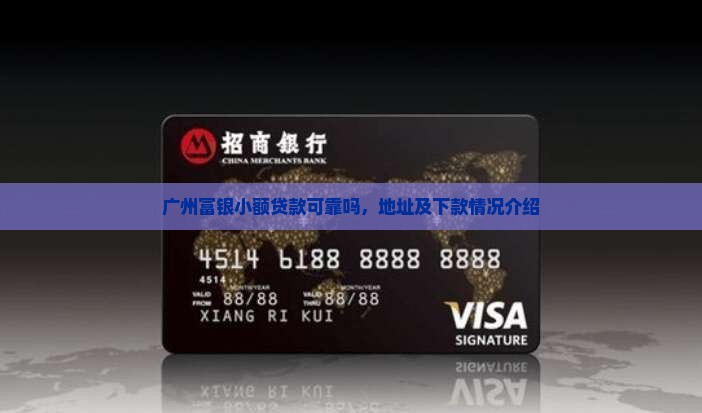 广州富银小额贷款