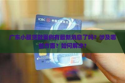 广东小额贷款案例最新消息