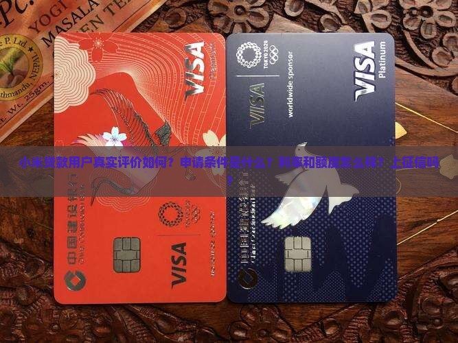 小米贷款有谁在用