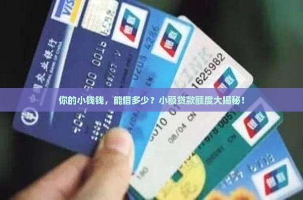 小额贷款额度比例