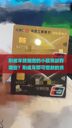 刚成年就能借的小额贷款