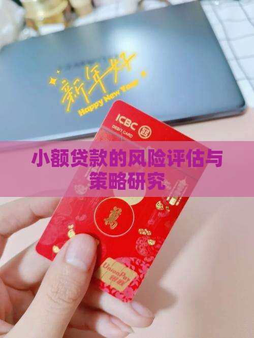 小额贷款研判