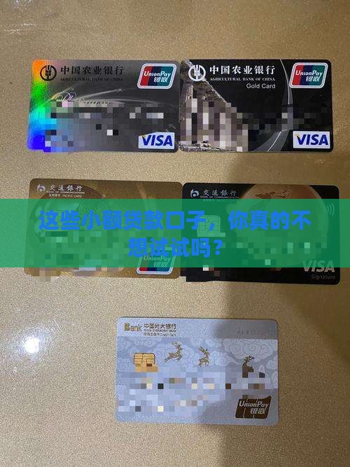 必下款的小额贷款口子