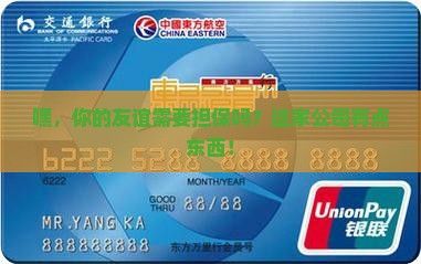友谊贷款担保公司