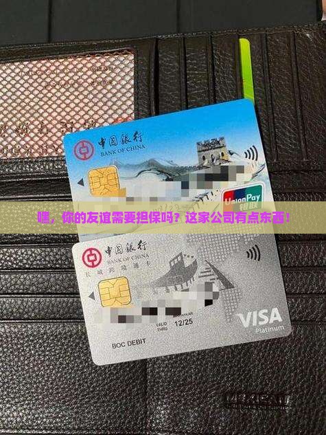 友谊贷款担保公司