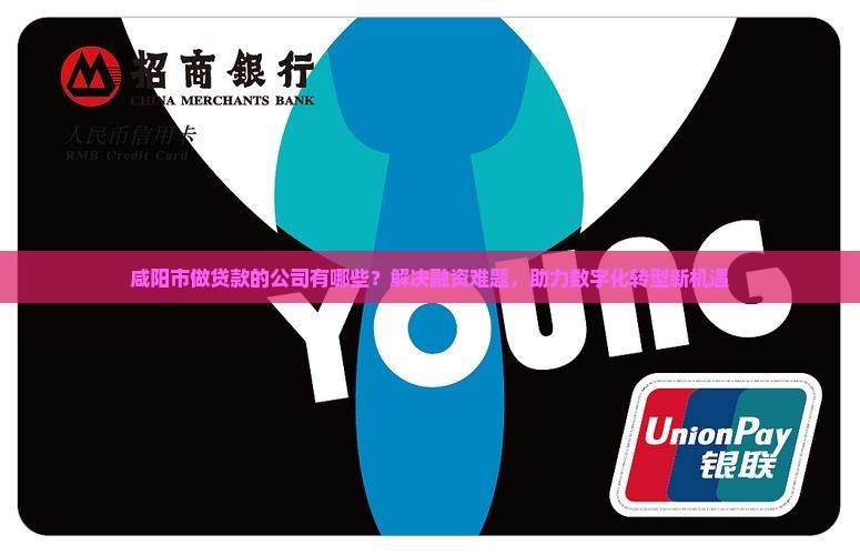 咸阳市做贷款的公司