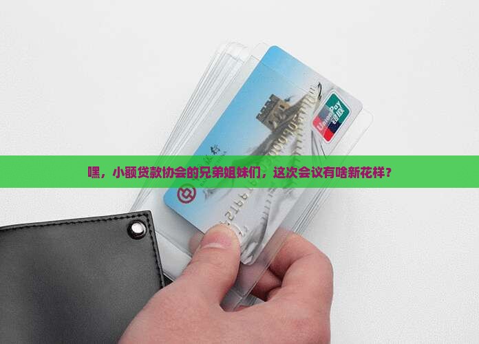 小额贷款协会会议