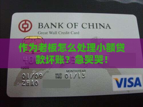 小额贷款坏账怎样处理